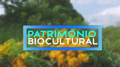 Patrimonio Biocultural ¿qué Es El Patrimonio Biocultural Youtube