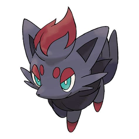 Slideshow: Hisuian Zorua and Hisuian Zoroark - Pokemon Legends Arceus