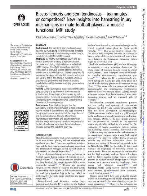 Pdf Biceps Femoris And Semitendinosus—teammates Or Competitors New