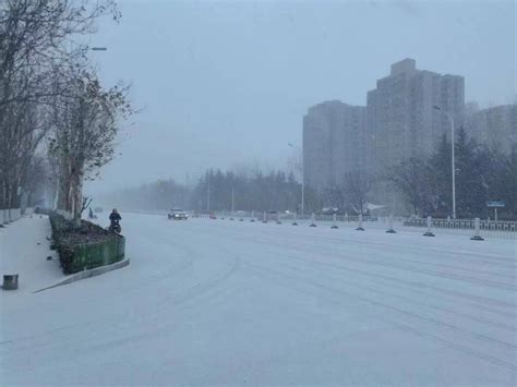 雪窝再发威！烟台未来7天6天有雪！最低 10℃！白天天气阵风