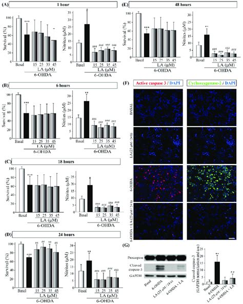 In Vitro Neuroprotective And Anti Inflammatory Effects Of La On The