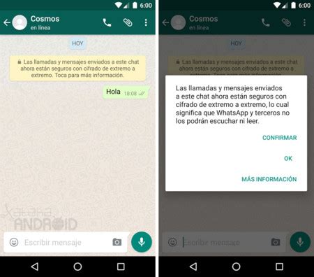 Whatsapp Para Android Activa El Cifrado De Extremo A Extremo Erbol