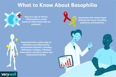 Basophils: What They Are, Function, Normal Range