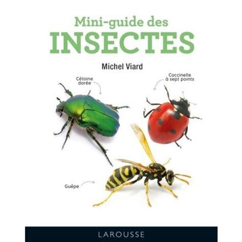 Mini Guide Des Insectes