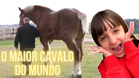 O Maior Cavalo Do Mundo Big Jake Youtube