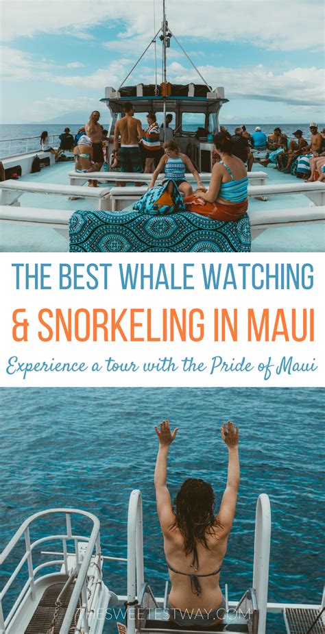 The Best Maui Whale Watching Tour with the Pride of Maui