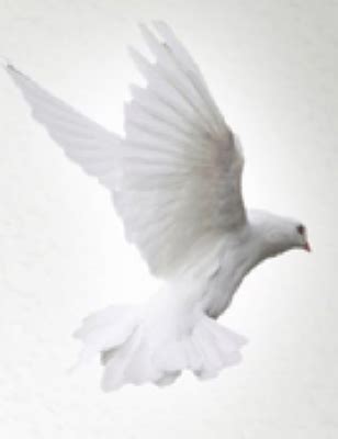 Bob Mills Obituary - 2022 - Meadowbrook Funeral Home