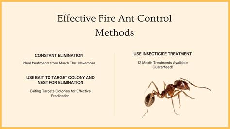 Fire Ant Control Methods That Work - FullScope Pest Control