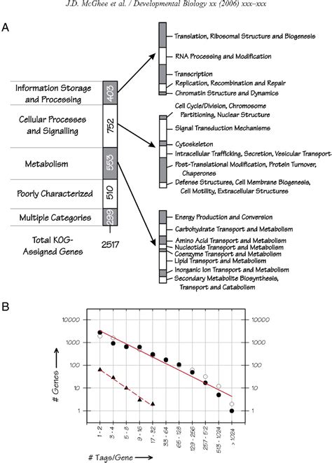 Figure From The Elt Gata Factor And The Global Regulation Of