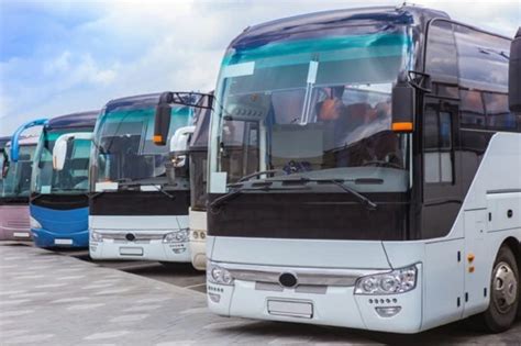 Harga Sewa Bus 60 Seat Paling Terjangkau Altha Rent