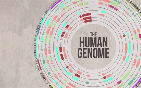 Human Genome Project Pros And Cons List