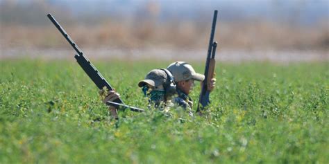 Sandhill crane youth hunt - New Mexico Wildlife magazine