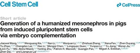 在猪体内“种”出人源肾脏！《细胞》子刊：中国团队实现器官异种再生重要突破 财经头条