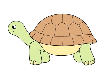 How To Draw A Tortoise Step By Step Easylinedrawing