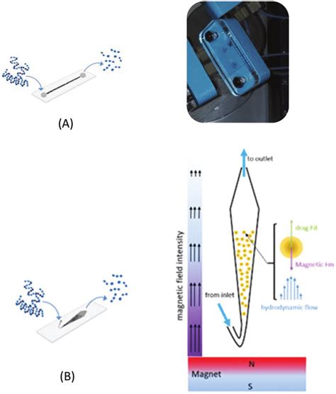 Schematic Representation Of Enzymatic Digestion Performed On A A TE