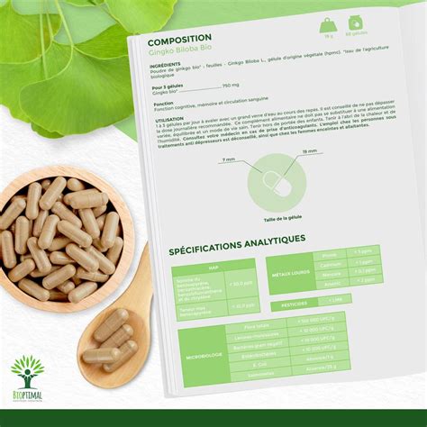 Ginkgo Biloba Bio Complément alimentaire Mémoire Concentration