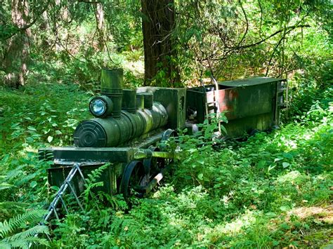 Solve A Miniature Steam Locomotive In A Rain Forest At Heritage Acres