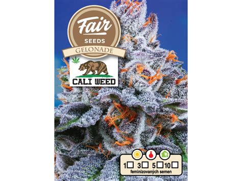 Fair Seeds Gelonade Feminized Fairseedscz