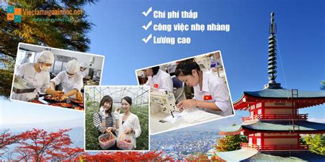 Xuất Khẩu Lao động Nhật Bản 2025 Có Gì Mới Về điều Kiện Chi Phí Và Lương Nhatban24h Vn