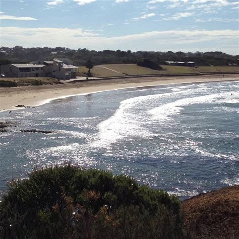 Torquay surf beach, Devon | Australian road trip, Surf beach, Beach