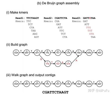 经典：基因组测序数据从头拼接或组装算法的原理 知乎