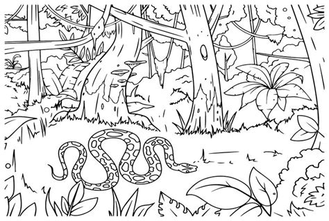 Anaconda Coloring Pages Discover The Beauty Of Nature