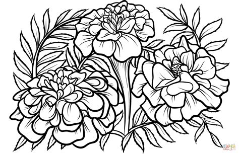 Mari The Marigold Coloring Page Coloring Pages