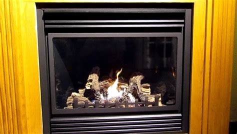 Napoleon Gas Fireplace Inserts | Home Design Ideas