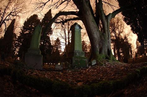 Lone Fir Cemetery Photograph By Caleb Ruecker Fine Art America