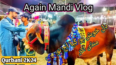 Aik Bar Phir Mandi Vlog A Gya Aj To End Level Ka Shoq Ho Gya Aisy