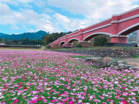 愛上台東藍｜台東山海二日遊｜ 秋菊皂坊 And 二層坪水橋 And 富山護漁區｜台東市區出發 Kkday