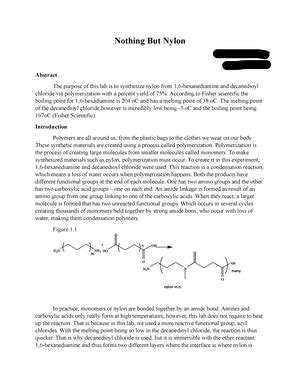 Nothing But Nylon Ochem Lab Nothing But Nylon Pre Lab Lab