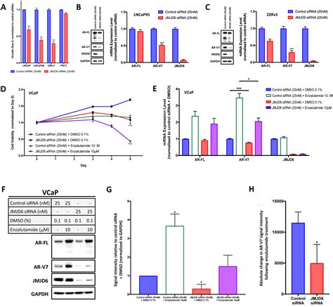 JMJD6 Is A Druggable Oxygenase That Regulates AR V7 Expression In