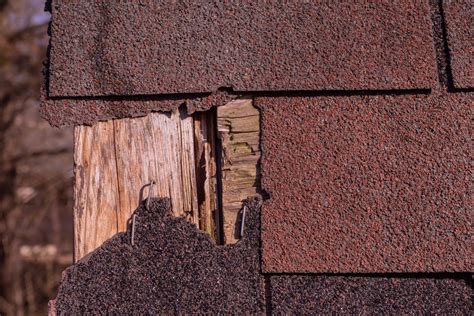 What You Should Know About Storm Damage Professional Roofing