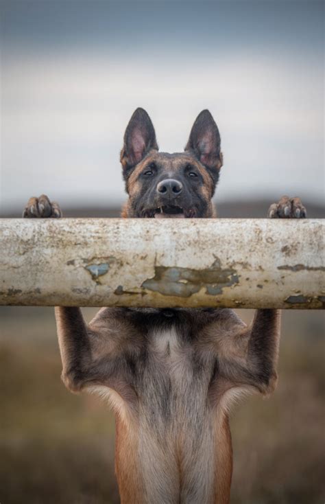 Social Media Fluch Oder Segen Tanja Brandt