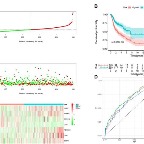 Construction And Validation Of Irgs For Hnscc Patients Were Divided