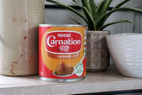 Carnation Recipes Condensed Milk | Bryont Blog