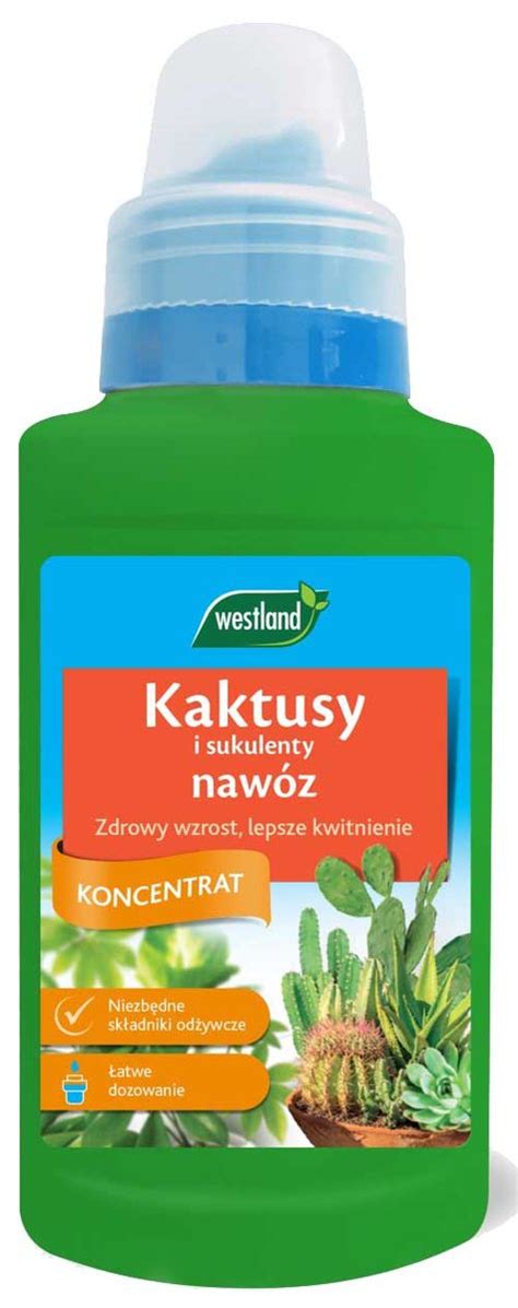 Kaktusy I Sukulenty Naw Z Ml Westland Westland Sklep Empik