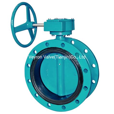 High Performance Material Quality Ductile Iron Dn Worm Gear