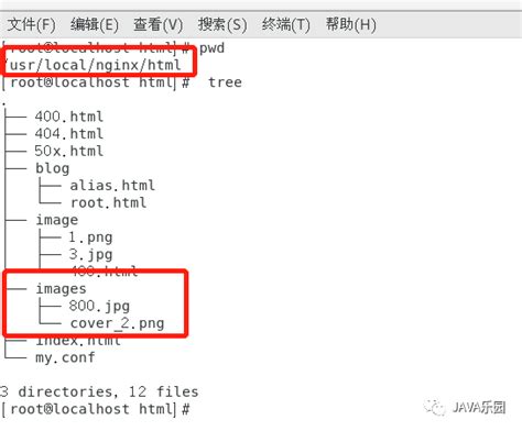 Nginx Root Alias