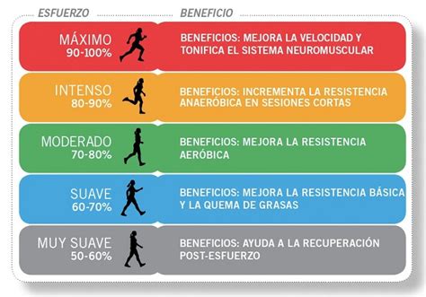 C Mo Entrenar Seg N Tu Frecuencia Cardiaca Musculaci N Total