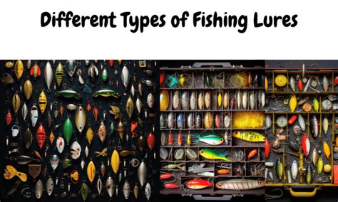 An Anglers Guide To The Different Types Of Fishing Lures