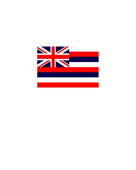 Hawaii State Flag T Shirt