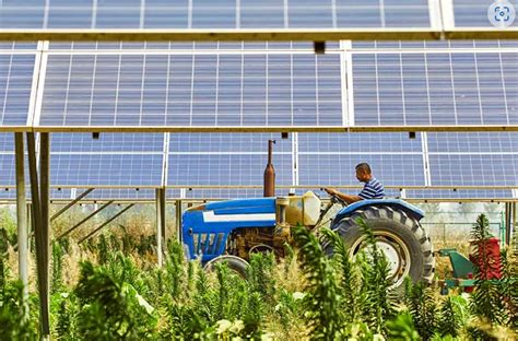 Agrivoltaics Combining Solar Panels And Agriculture Into A Win Win Re