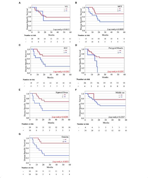 Kaplan Meier Curves Disease Specific 5 Years Survival Curves Download Scientific Diagram