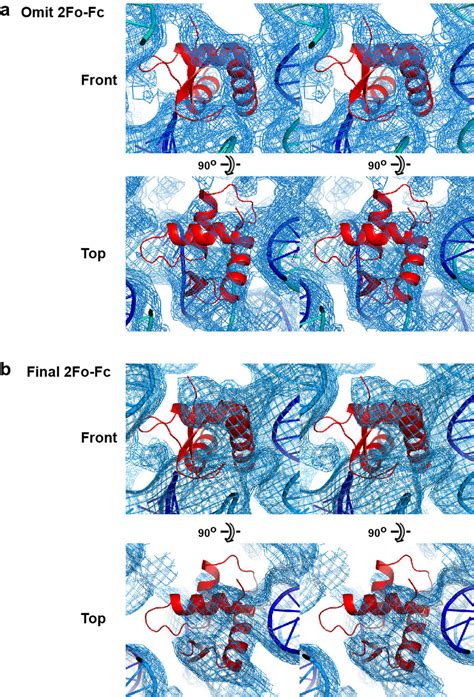 Figure S10 Stereo Views Of Electron Density Covering The Gh1 Domain Download Scientific