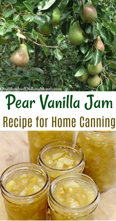 Canning 101 Pear Vanilla Jam Recipe One Hundred Dollars A Month