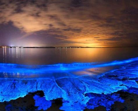 Illuminating Wonders Exploring The Coolest Night Beaches In India That