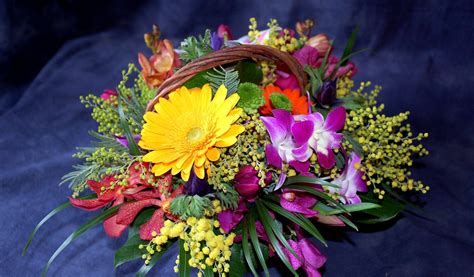 Purple Yellow And Red Petaled Flower Bouquet On Blue Surface HD