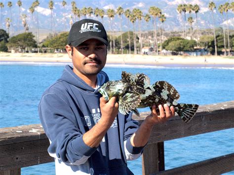 Cabezon - Pier Fishing in California